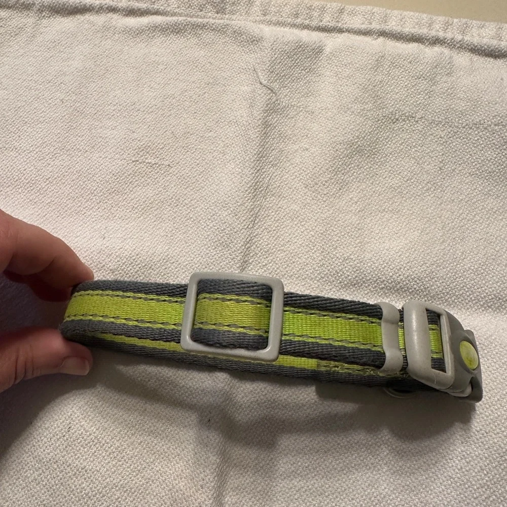 Coastal Dog Collar Small Bright Yellow Green